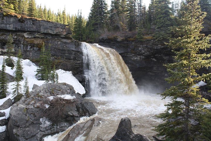 Tumbler Ridge Geopark, Canada
