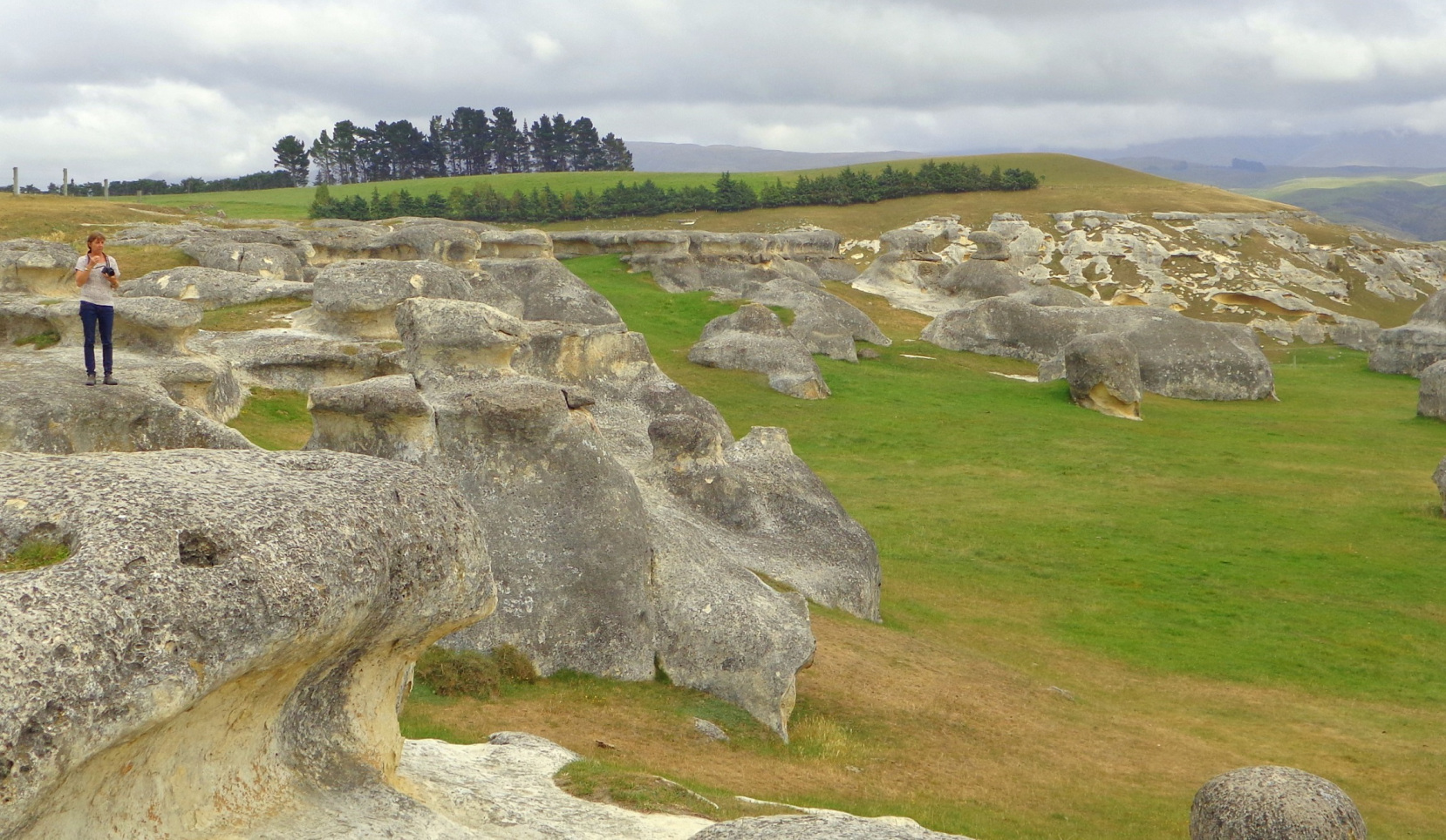 Waitaki Whitehouse, New Zealand